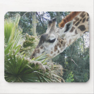 Giraffe zum Mittagessen Mousepad