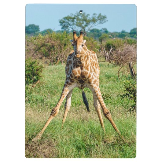 Giraffe-Zwischenablage Klemmbrett (Rückseite)