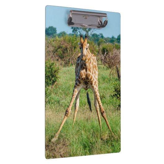 Giraffe-Zwischenablage Klemmbrett (Rechts)
