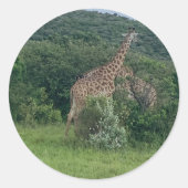 Giraffee Stickers (Vorderseite)