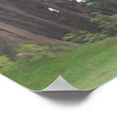 Giraffen 002 Leinwand Poster (Ecke)