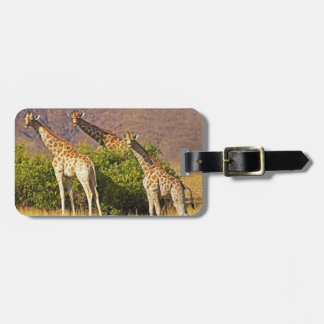 Giraffen 1B-Gepäckanhänger Gepäckanhänger