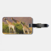 Giraffen 1B-Gepäckanhänger Gepäckanhänger (Rückseite horizontal)