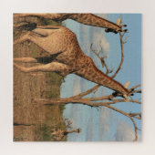 Giraffen 20" x 20" Puzzle (Horizontal)