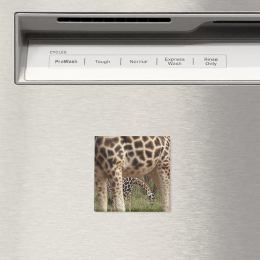 Giraffen 2 magnet (In Situ (Geschirrspüler))