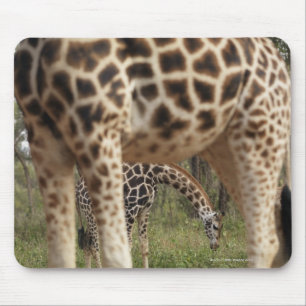 Giraffen 2 mousepad