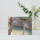 Giraffen # 2 postkarte (Stehend Vorderseite)