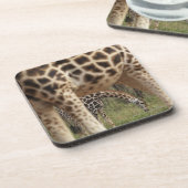 Giraffen 2 untersetzer (Linke Seite)