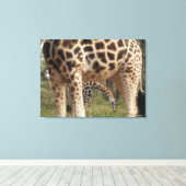 Giraffen 4 leinwanddruck (Insitu (Holzboden))