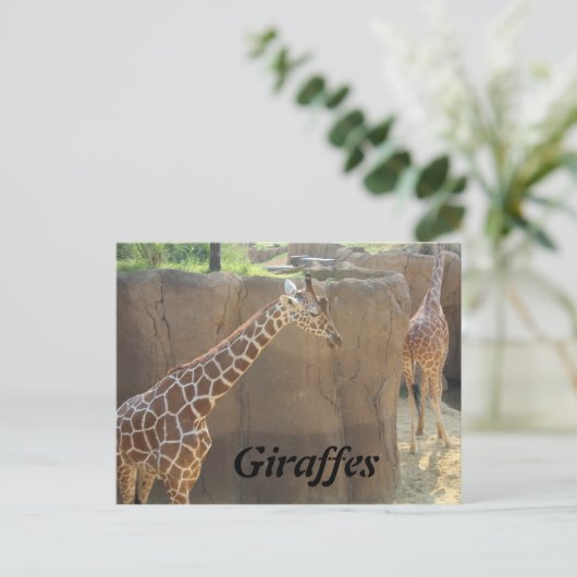 Giraffen # 6 postkarte (Stehend Vorderseite)