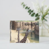 Giraffen # 7 postkarte (Stehend Vorderseite)