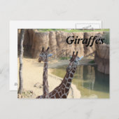 Giraffen # 7 postkarte (Vorne/Hinten)