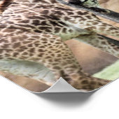 Giraffen abspielen Print Poster (Ecke)