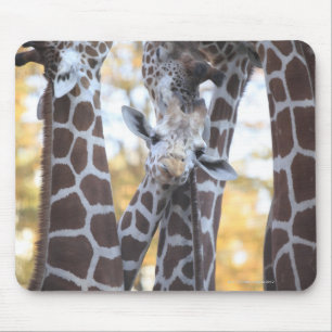 Giraffen an Tama Zoo, Tama Zoo, Tokyo Mousepad