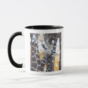 Giraffen an Tama Zoo, Tama Zoo, Tokyo Tasse