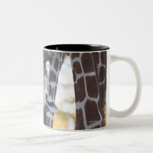 Giraffen an Tama Zoo, Tama Zoo, Tokyo Zweifarbige Tasse