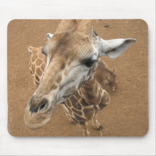 Giraffen-Anstarren-Mausunterlage Mousepad