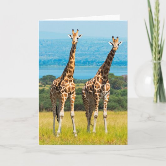 Giraffen auf der Savanna, Uganda Karte (Vorderseite)