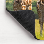 Giraffen auf der Savanna, Uganda Mousepad (Ecke)