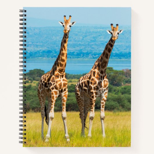 Giraffen auf der Savanna, Uganda Notizblock (Vorderseite)