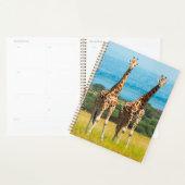 Giraffen auf der Savanna, Uganda Planer (Anzeige)