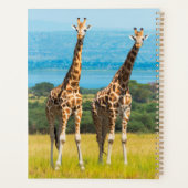 Giraffen auf der Savanna, Uganda Planer (Rückseite)