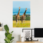 Giraffen auf der Savanna, Uganda Poster (Heimbüro)