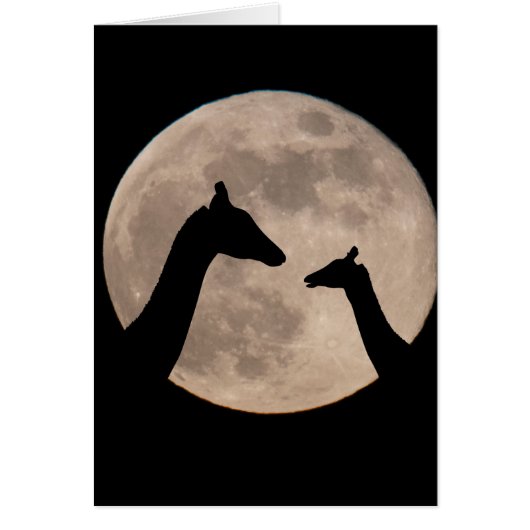 Giraffen auf Vollmond (Vorne)