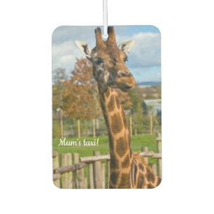Giraffen-Auto-Luftverbesserer Autolufterfrischer