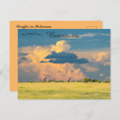 Giraffen bei Sonnenuntergang in Botswana Postkarte (Vorne/Hinten)