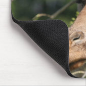 Giraffen-Bild-Mausunterlage Mousepad (Ecke)