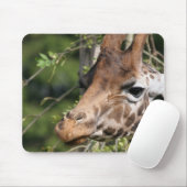 Giraffen-Bild-Mausunterlage Mousepad (Mit Mouse)