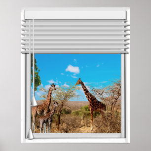 Giraffen Blick aus einem Fenster Poster