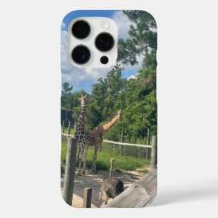 Giraffen iPhone 16 pro hülle