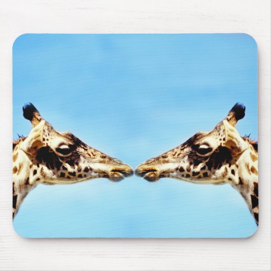 Giraffen, die Nasen berühren Mousepad (Vorne)