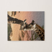 Giraffen, die sich grüßen puzzle (Horizontal)