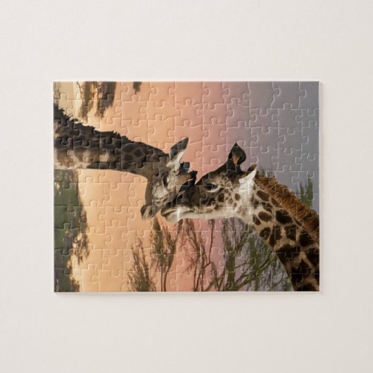 Giraffen, die sich grüßen puzzle (Horizontal)