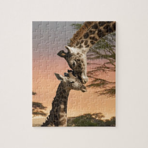 Giraffen, die sich grüßen puzzle