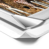 Giraffen-Fake-Fensteransicht Poster (Ecke)