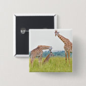 Giraffen-Familie Getty Bild-| Button (Vorne & Hinten)
