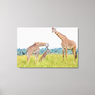 Giraffen-Familie Getty Bild-  Leinwanddruck