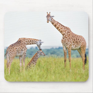 Giraffen-Familie Getty Bild- Mousepad