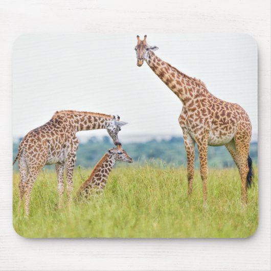 Giraffen-Familie Getty Bild-| Mousepad (Vorne)
