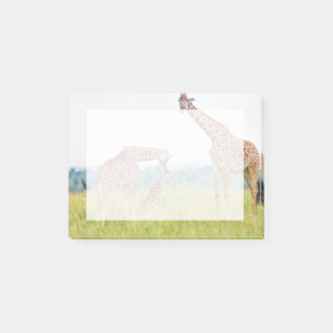 Giraffen-Familie Getty Bild-  Post-it Klebezettel