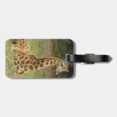 Giraffen-Foto Gepäckanhänger (Rückseite horizontal)