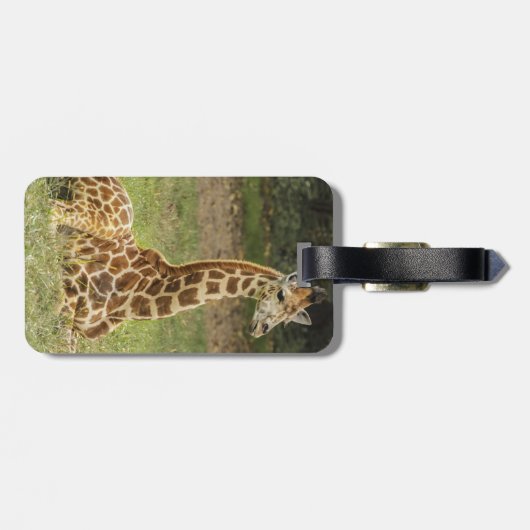 Giraffen-Foto Gepäckanhänger (Rückseite horizontal)