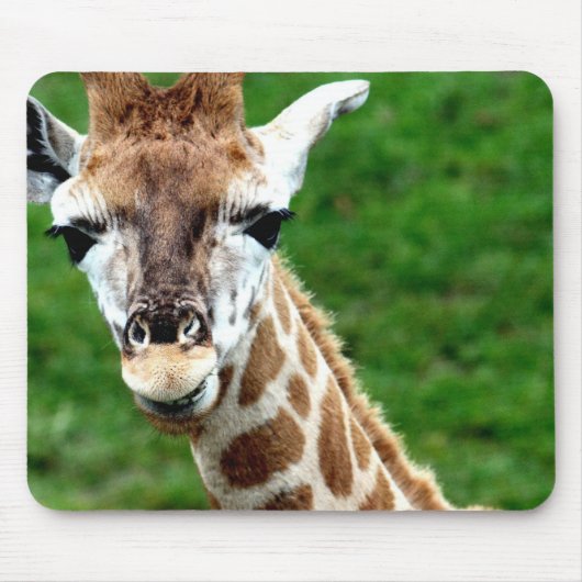 Giraffen-Foto-Mausunterlage Mousepad (Vorne)