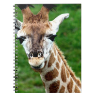 Giraffen-Foto-Notizbuch