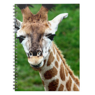 Giraffen-Foto-Notizbuch Notizblock