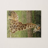 Giraffen-Foto Puzzle (Horizontal)